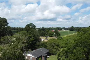 466 Ivey Dr, Clio, SC 29525 - Photo 21