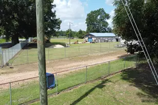466 Ivey Dr, Clio, SC 29525 - Photo 13