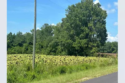 Tbd Pearlie Dr., Dillon, SC 29536 - Photo 27