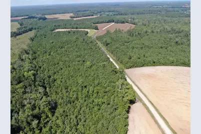 Tbd Pearlie Dr., Dillon, SC 29536 - Photo 13