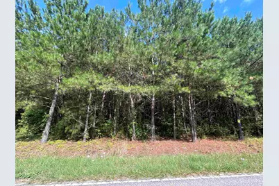 Tbd Mount Calvary Rd., Dillon, SC 29536 - Photo 15