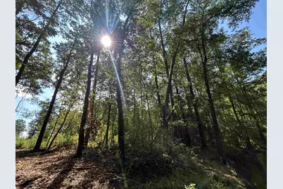 Tbd Mount Calvary Rd., Dillon, SC 29536 - Photo 23