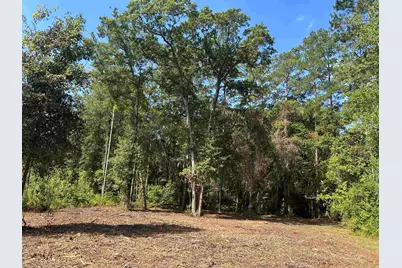Tbd Mount Calvary Rd., Dillon, SC 29536 - Photo 17