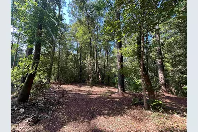 Tbd Mount Calvary Rd., Dillon, SC 29536 - Photo 19