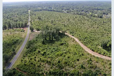 Tbd Mount Calvary Rd., Dillon, SC 29536 - Photo 7