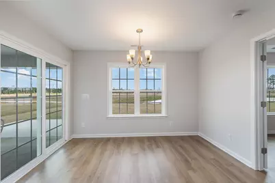 319 Barn Owl Way, Conway, SC 29527 - Photo 9