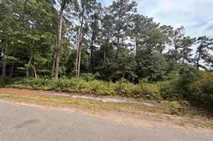 Tbd 7th Ave, Conway, SC 29526 - Photo 1