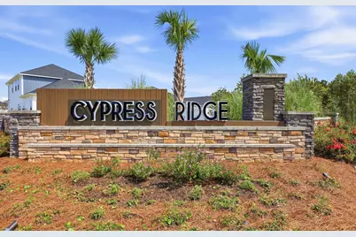 1570 Regal Fern Way, Longs, SC 29568 - Photo 43