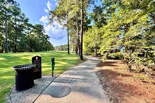 605 Needlerush Ct, Myrtle Beach, SC 29579 - Photo 75