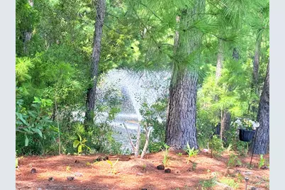 617 Evers Loop, Myrtle Beach, SC 29575 - Photo 49