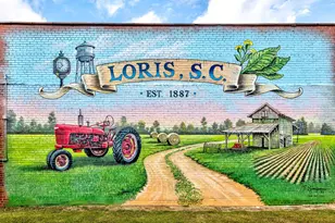 7583 Hwy 66, Loris, SC 29569 - Photo 77