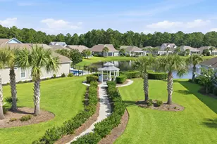242 Hyacinth Loop, Murrells Inlet, SC 29576 - Photo 43