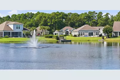 242 Hyacinth Loop, Murrells Inlet, SC 29576 - Photo 41