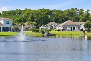 242 Hyacinth Loop, Murrells Inlet, SC 29576 - Photo 41