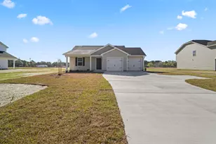 1096 Mt Olive Church Rd, Nichols, SC 29581 - Photo 1