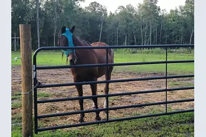125 Bill W Way, Longs, SC 29568 - Photo 5