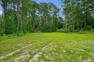 125 Bill W Way, Longs, SC 29568 - Photo 33