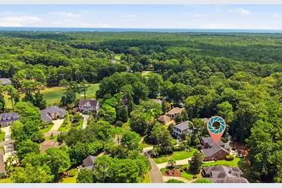 163 Red Tail Hawk Loop, Pawleys Island, SC 29585 - Photo 59