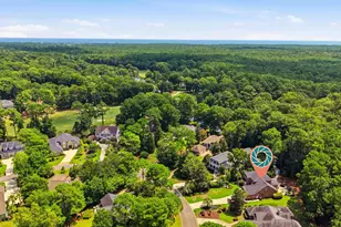 163 Red Tail Hawk Loop, Pawleys Island, SC 29585 - Photo 59