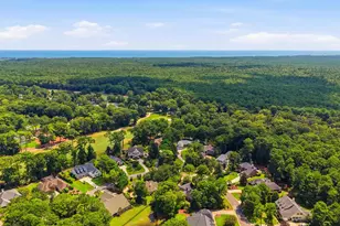163 Red Tail Hawk Loop, Pawleys Island, SC 29585 - Photo 55