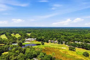 163 Red Tail Hawk Loop, Pawleys Island, SC 29585 - Photo 57