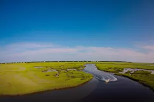 2674 Wallace Pate Dr, Georgetown, SC 29440 - Photo 57