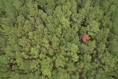 1.43 Acres - W Hemlock St., Andrews, SC 29510 - Photo 3