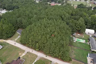 1 43 Acres - W Hemlock St, Andrews, SC 29510 - Photo 1