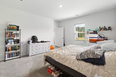 546 Appaloosa Way, Conway, SC 29527 - Photo 23