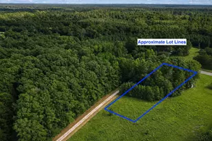 1270 Dirty Branch Rd, Conway, SC 29527 - Photo 25