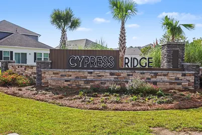 1234 Arizona Dr., Longs, SC 29568 - Photo 31