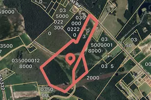Tbd Turner Rd, Mullins, SC 29574 - Photo 1