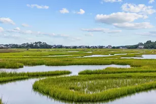 312 Retreat Beach Cir, Pawleys Island, SC 29585 - Photo 63