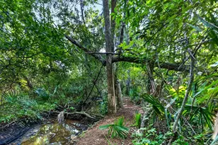 231 Watson Way, Pawleys Island, SC 29585 - Photo 57