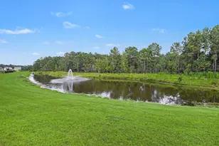 293 Calhoun Fls Dr, Myrtle Beach, SC 29579 - Photo 37