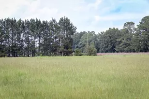 5124 Hwy 76, Nichols, SC 29581 - Photo 39