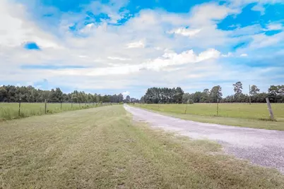 5124 Highway 76, Nichols, SC 29581 - Photo 3