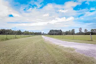 5124 Hwy 76, Nichols, SC 29581 - Photo 3