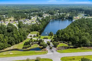 800 Stone Pne Ct, Loris, SC 29569 - Photo 65