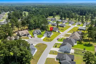 800 Stone Pne Ct, Loris, SC 29569 - Photo 47