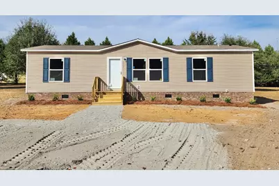 732 Black Branch Rd., Dillon, SC 29536 - Photo 1