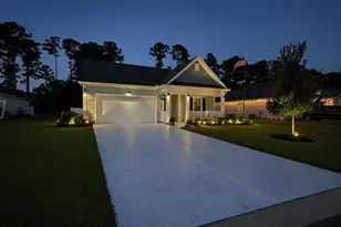 164 Teddy Bear Circle, Conway, SC 29526 - Photo 41