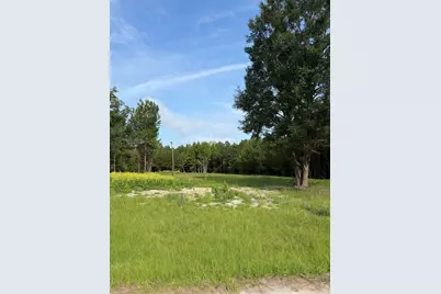 Tbd Hayfield Rd., Georgetown, SC 29440 - Photo 1