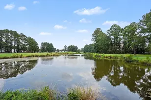 246 Sun Colony Blvd, Longs, SC 29568 - Photo 33