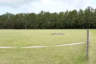 4224 Horse Pen Bay Rd, Aynor, SC 29511 - Photo 29