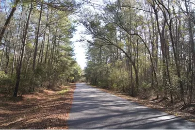 Lot 25 Crow Hill Dr., Georgetown, SC 29440 - Photo 3