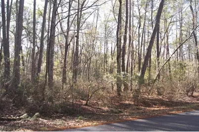 Lot 26 Crow Hill Dr., Georgetown, SC 29440 - Photo 1