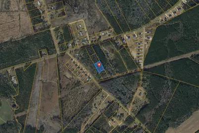 4769 Cates Bay Hwy., Conway, SC 29527 - Photo 9
