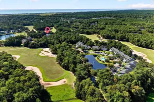 549 Blue Stem Dr, Pawleys Island, SC 29585 - Photo 39