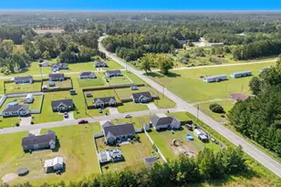 100 Pumpkin Ash Loop, Conway, SC 29527 - Photo 3